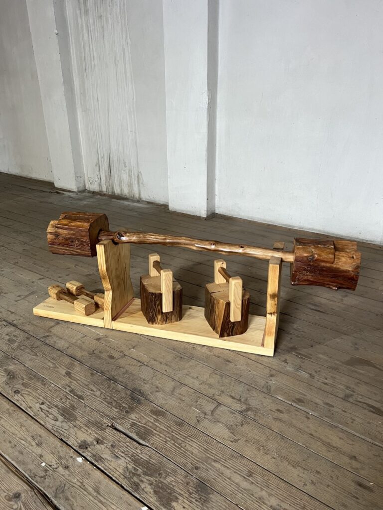 Altholz Trainingsstation